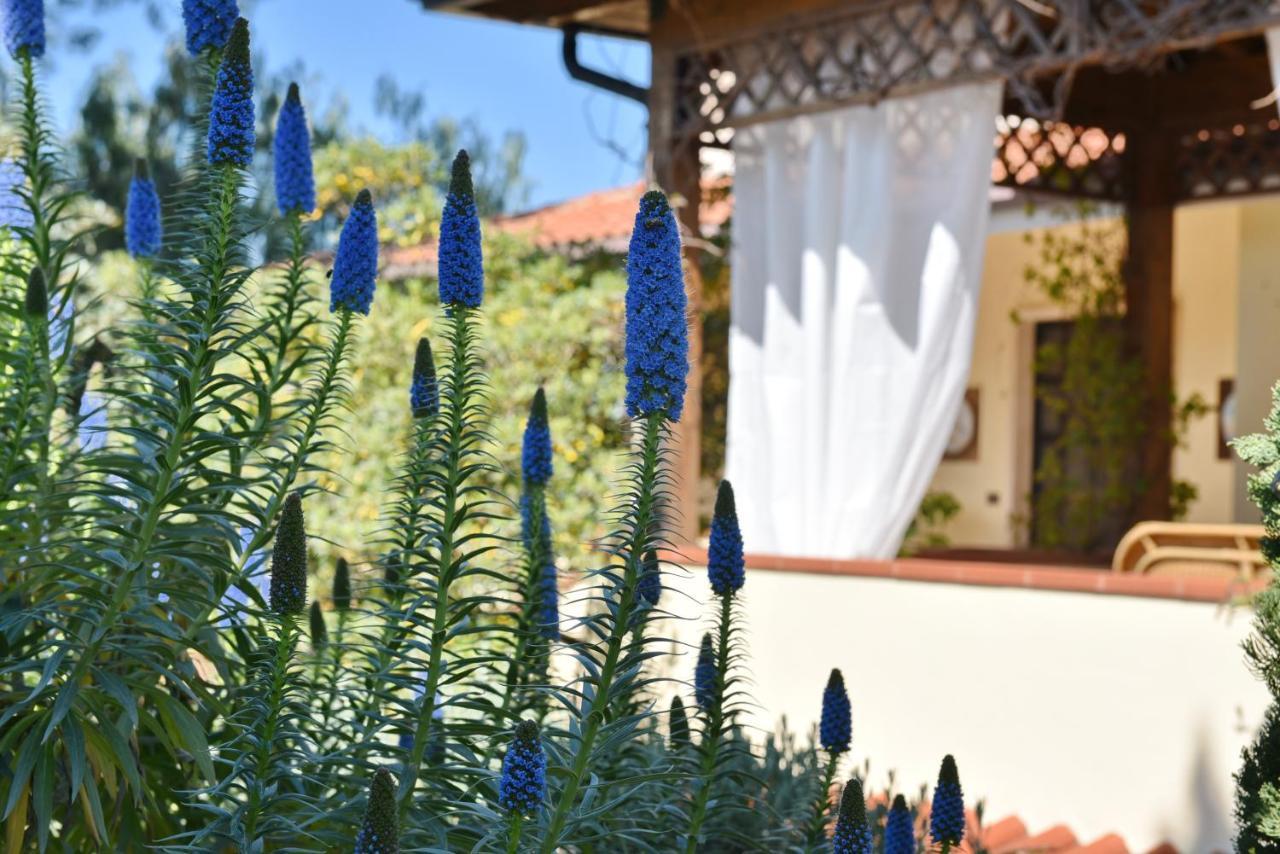 Villa Tina Santa Maria di Castellabate Exterior foto